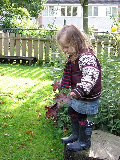 grote-herfstbladeren